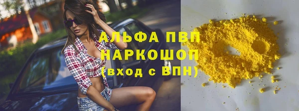 стафф Осинники