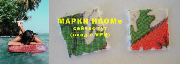 стафф Осинники