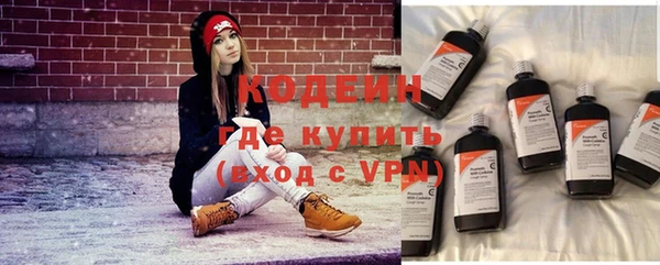 стафф Осинники