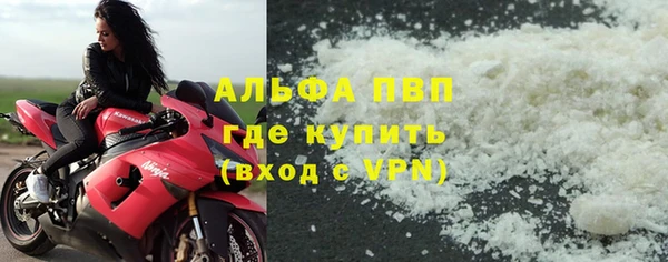 стафф Осинники