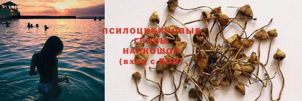 прущие крисы Остров