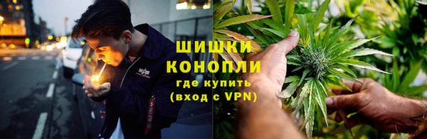 винт Пестово