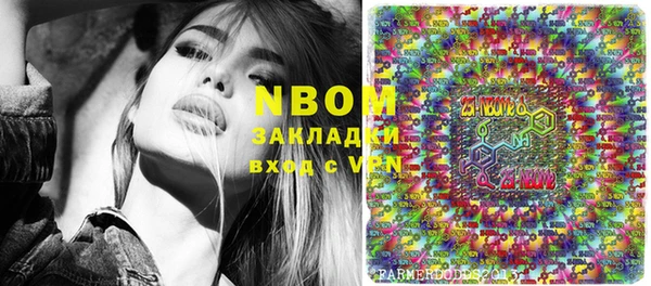 стафф Осинники