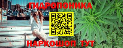 индика Апрелевка