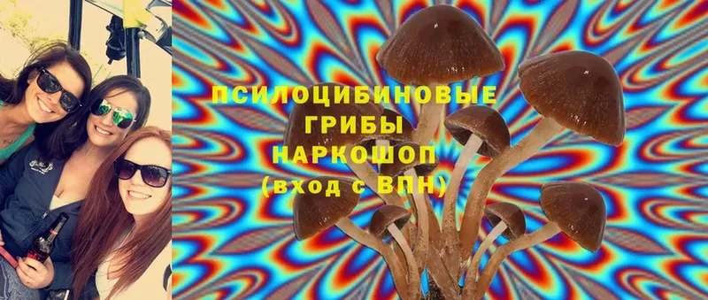 Галлюциногенные грибы Psilocybine cubensis  shop официальный сайт  Арсеньев 