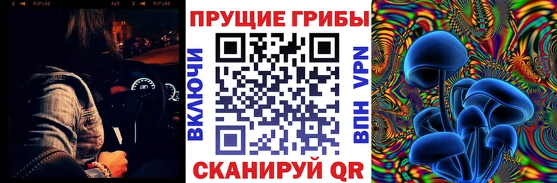 сайты даркнета как зайти  мега рабочий сайт  Арсеньев  Псилоцибиновые грибы Cubensis 