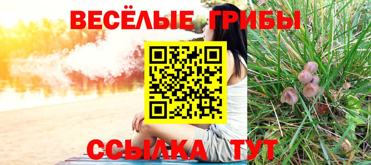 Псилоцибиновые грибы Cubensis Арсеньев
