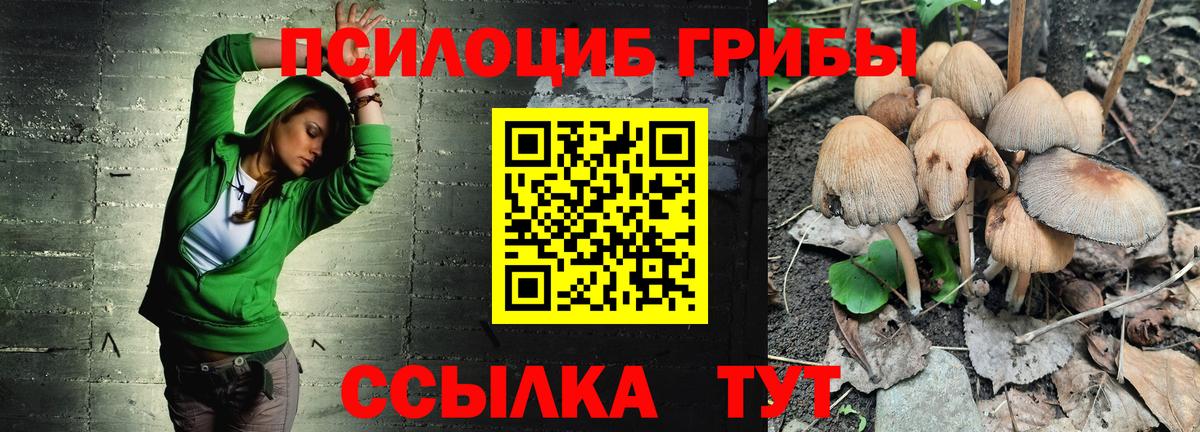 Галлюциногенные грибы Magic Shrooms  дарнет шоп  Арсеньев  Вход с VPN 